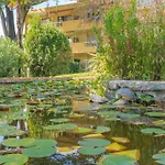 Апарт-готель Les 15 Pins & La -parc Arbore, Piscines, A 5min, Climatisation Антіб