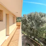 Les 15 Pins & La Mer -Parc Arbore, Piscines, Mer A 5Min, Climatisation Апарт-отель Антиб